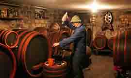 Tradition of wine making in Serbia
